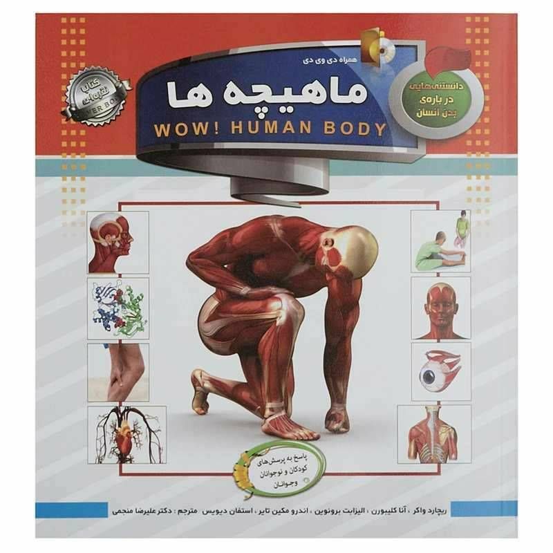 دانستنی هایی درباره بدن انسان ماهيچه ها